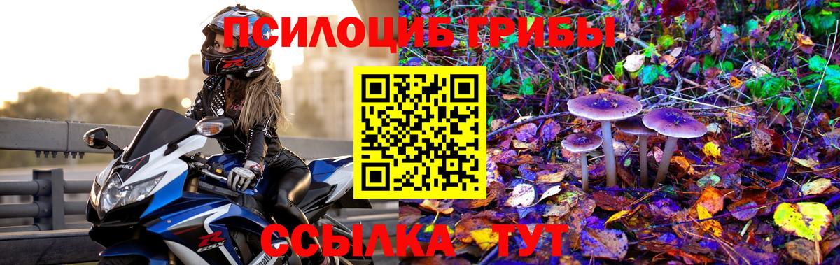 Псилоцибиновые грибы Magic Shrooms  Псилоцибиновые грибы MAGIC MUSHROOMS  Кирово-Чепецк  Вход с VPN 