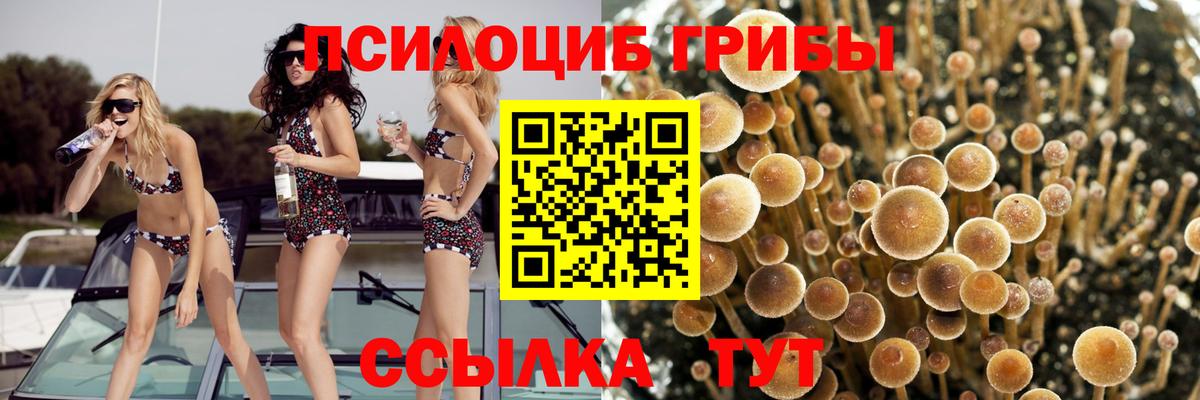 Продажа наркотиков  Кокаин  Вход с VPN  Кирово-Чепецк  ГАШИШ  МЕФ кристаллы  Метамфетамин  Канабис  Марихуана 