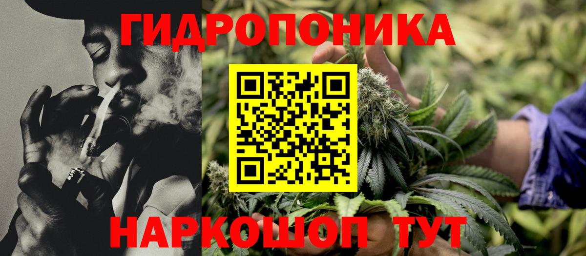 Бошки марихуана Ganja Кирово-Чепецк